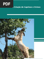 Manual_Ovinos_e_Caprinos_Versão_Final_rev_jun2011