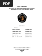Download MAKALAH BIOKIMIA LIPID PROTEIN KABOHIDRAT by Arin Arrin Arinn SN134433725 doc pdf