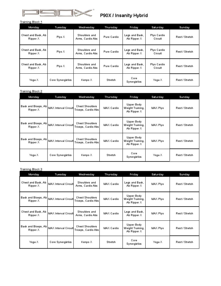 p90x-insanity-hybrid-pdf
