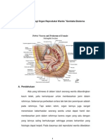 Anatomi Fisiologi Organ Reproduksi Wanita