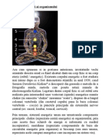 Centri Energetici Ai Organismului