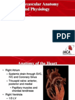 Cardiovascular Anatomy and Physiology, Dr. Widya