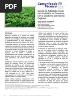 Manejo da Adubação Verde com Crotalária no Consórcio com o Quiabeiro sob Manejo Orgânico