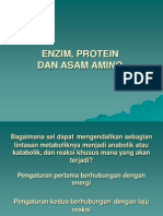 Enzim, Protein Dan Asam Amino