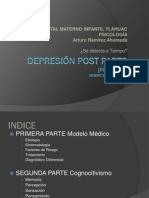 Depresión Post Parto