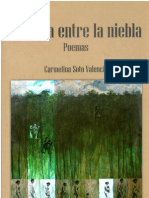 16188888 Carmelina Soto La Casa Entre La Niebla