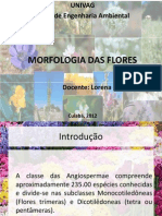 Aula 4 - Morfologia Das Flores