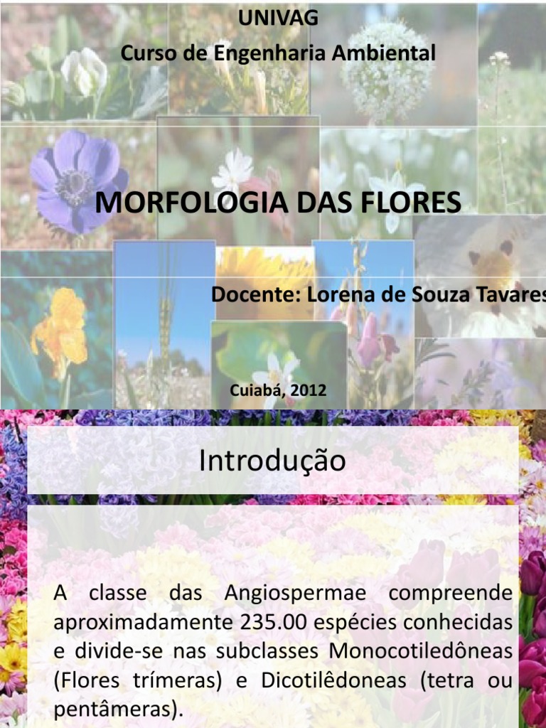 Morfologia e Classificação das Flores | PDF | Flores | Plantas