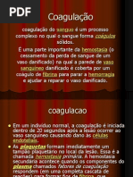 Coagulação+2º+aula