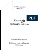 Shungit - Proteccion Extrema