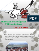 Aspectos Fisiológicos Y Bioquímicos Carne