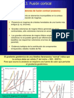 8.3Fusion Cortical 2008