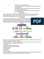 mecanismos%20genéticos%20bacterianos...actividad