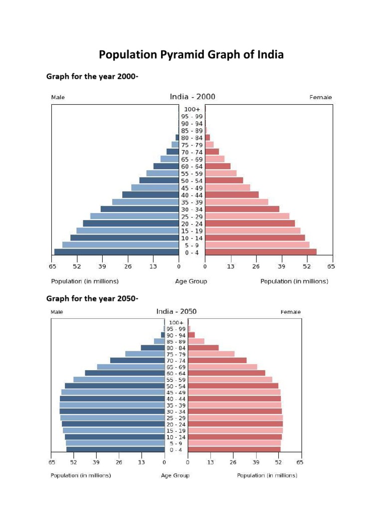 India Birth Rate 2024 Dayle Erminie