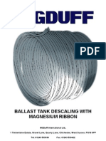 Ballast Tank Descaling