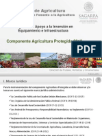 AGRICULTURA PROTEGIDA DGFA - Publicación - México