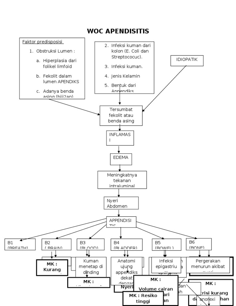 Hasil gambar untuk pathway apendik