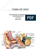 Anatomia de Oido