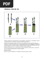 Altoirea Vitei PDF