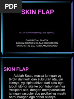 Download SKIN FLAP by Anne Tjan SN134648473 doc pdf