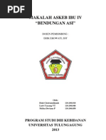 Download Askeb Bendungan Asi  by Mr Adheep Mahfud SN134652318 doc pdf