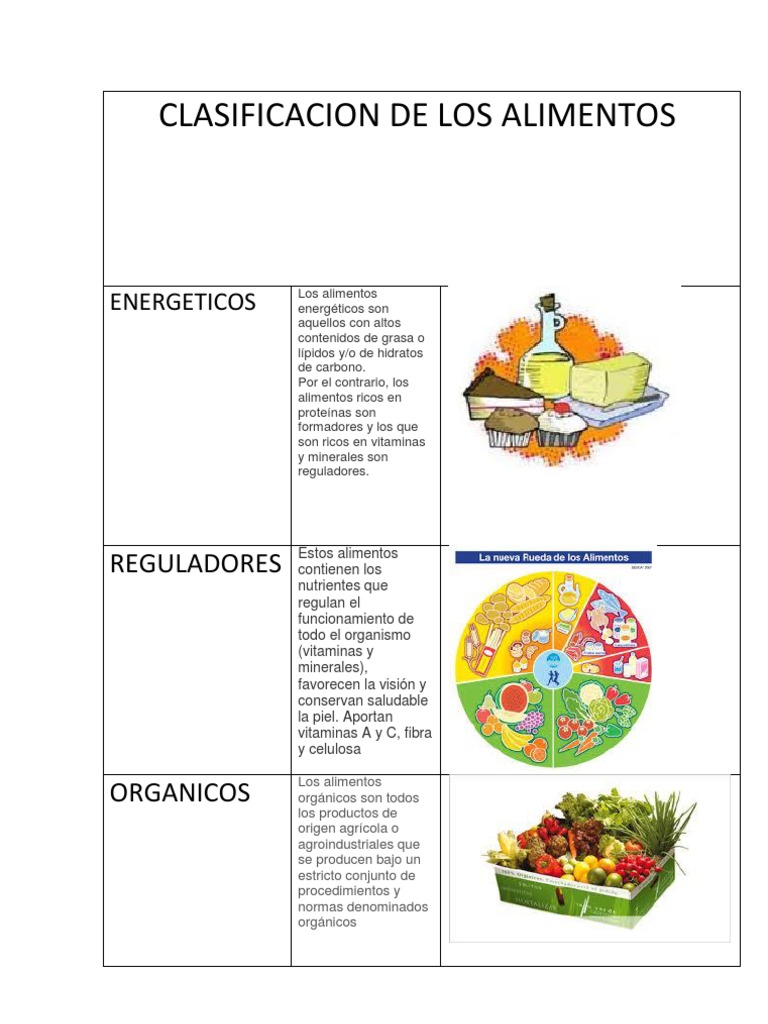 Clasificacion de Los Alimentos PDF