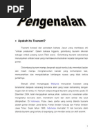 Download Tsunami by Fesely Liong SN134671393 doc pdf