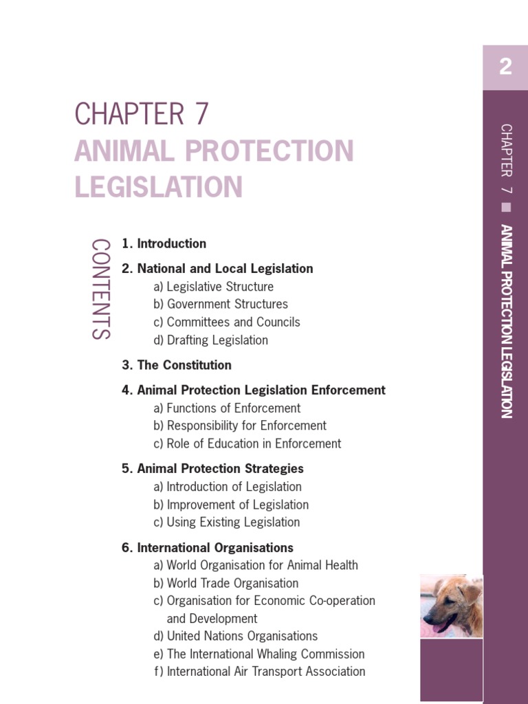 Animal Protection Legislation Resources PDF Animal Welfare Animal Rights