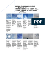 Las Nubes Como Indicadores de La Actividad en Incendios Forestales