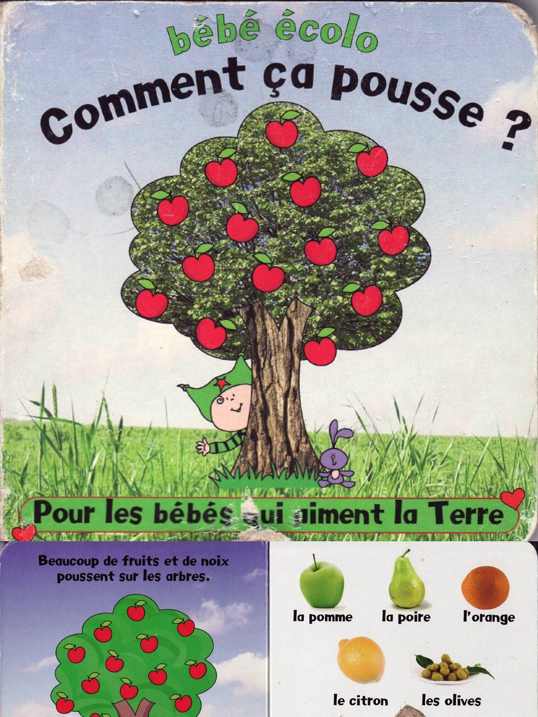 Bebe Ecolo Comment Ca Pousse Pdf