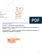 Pâncreas Endócrino