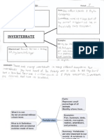 Invertebrate Check For Understanding and Vertebrate Independent Practice Concept-Definition Maps