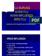 Kesehatan Anak Slide Flu Burung - Avian Flu - Avian Influenza - Bird Flu