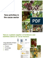 Sponsor Quimbo Yara Activities in Cacao