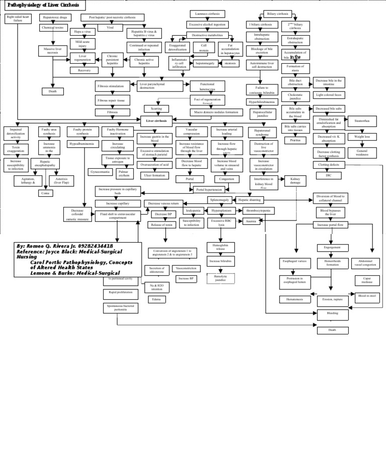 Pathophysiology Of Liver Cirrhosis Pdf Liver Cirrhosis