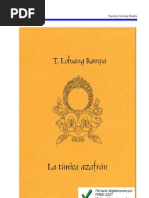 07-La túnica azafrán