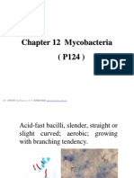Mycobacteria (P124)