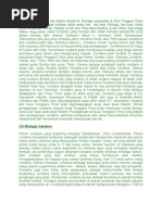 Download Cendana by Agus Styagung SN134853145 doc pdf
