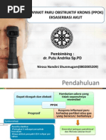 Download ppt PPOKppt by Sha Shan SN134875697 doc pdf