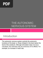 THE AUTONOMIC NERVOUS SYSTEM.pptx