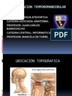 Articulacion Temporomandibular 1220448928498836 9