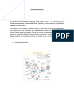 Informe de Histo - CESAR