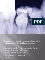 Histology of Shedding