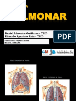 Anatomia Pulmonar