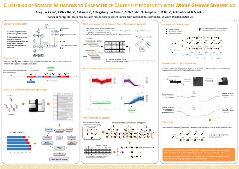 Cancer Mutation Clustering Analysis | PDF | Mutation | Biochemistry