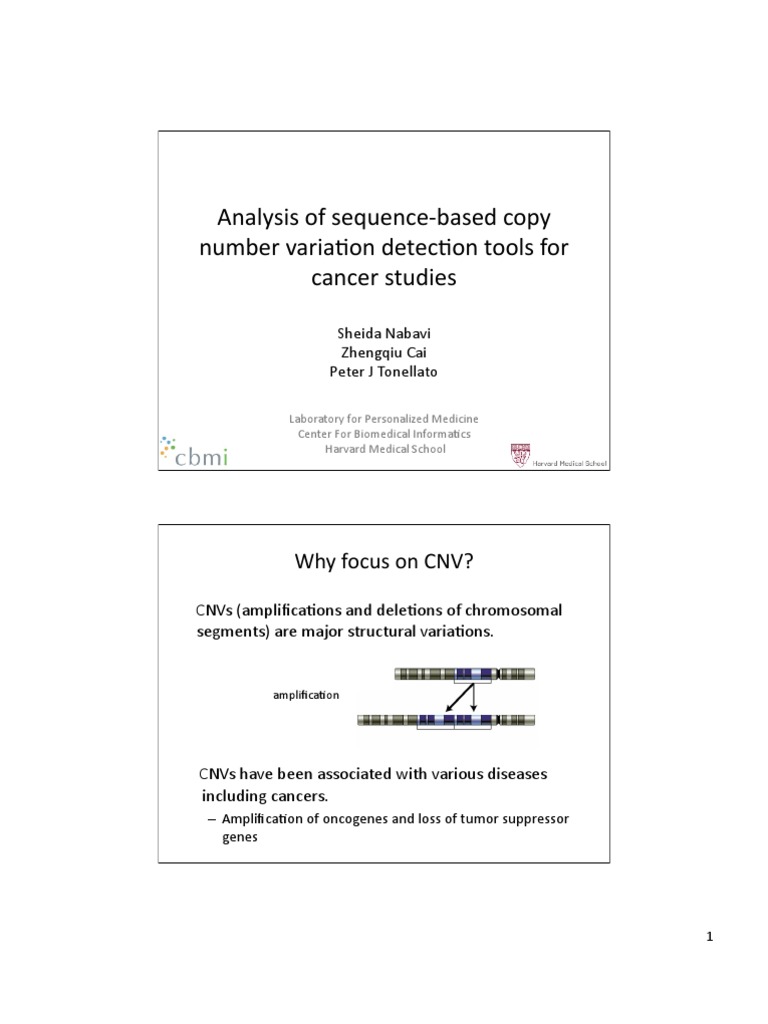 Analysis of Sequence-Based COpy Number Variation Detection Tools For ...