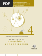 Gu A Atenci N Concentraci N