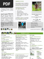 Programa Provisório_SEI