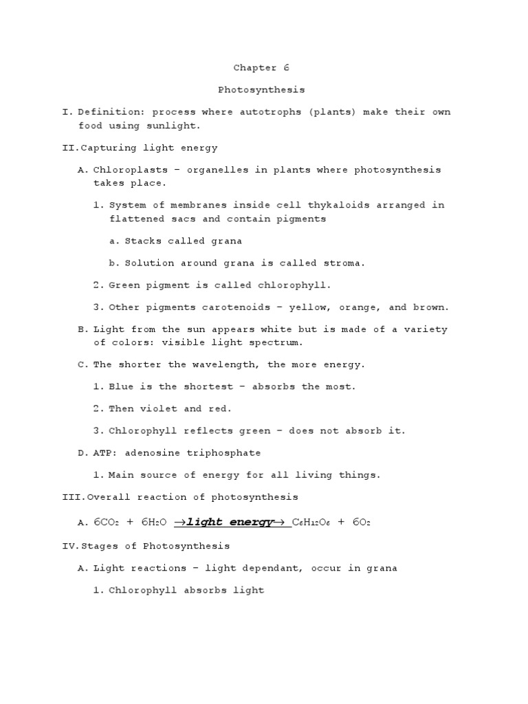 Chapter 6 Photosynthesis | PDF