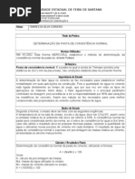3º Relatório Determinação da pasta de consistência normal